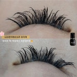 맥시멈래쉬 LED속눈썹&왁싱&브로우바 강남점