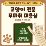 고양이무마취미용 고미고미 화명점
