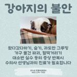 온누리동물의료센터