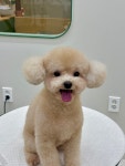 하이벨몽