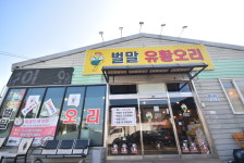 벌말오리