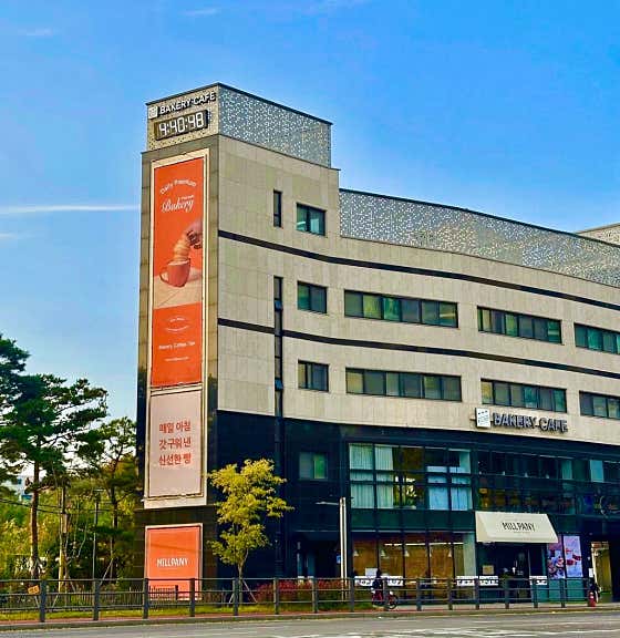 밀파니 사진