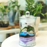 루하리움 테라리움 클래스