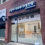 고양이무마취미용 고미고미 화명점