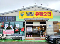 벌말오리