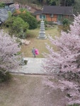 반야사