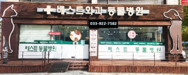 베스트동물병원