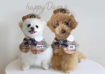 해피댕댕페인팅