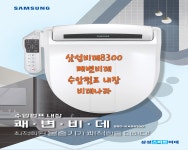 비데랜드