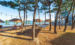 더헤이븐리조트펜션