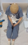 제선현고양이미용실
