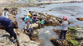 공수어촌체험휴양마을