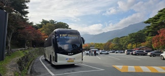 에이스관광여행사