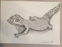 아를미술교습소