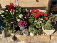 낙안읍성 별감집민박