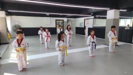 한국체대파워태권도