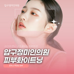 압구정미인의원