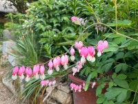 낙안읍성 별감집민박