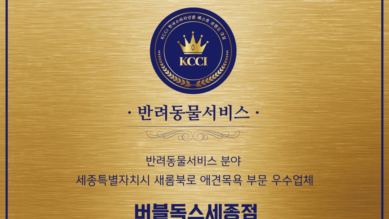 버블독스 세종점