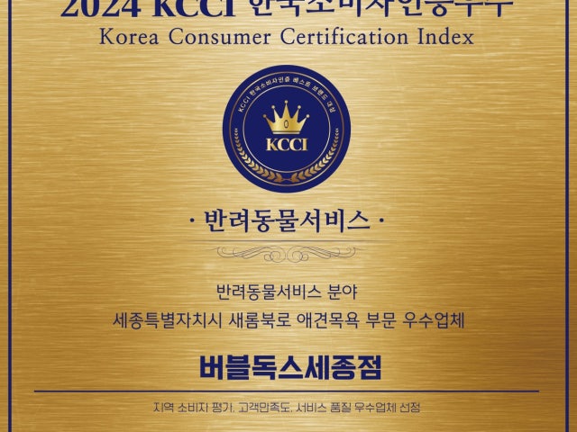 버블독스 세종점