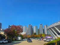 브이아이피부동산중개법인