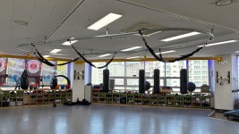 팀와일드울프 광명점