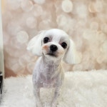 예쁘댕 오창