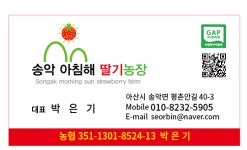 송악 아침해 딸기농장