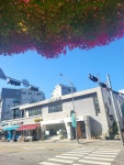 현대동물병원