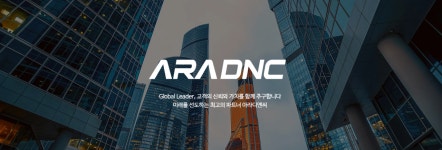 아라디앤씨