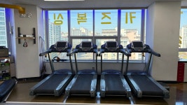 팀와일드울프 광명점