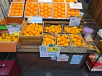 아빠는 농부다 승환이네 농장