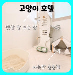 대구고양이미용&호텔 무냥무냥 방촌점