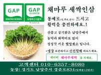 채마루
