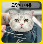 대구고양이미용&호텔 무냥무냥 방촌점