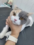 함께냥 전주점