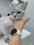 함께냥 전주점