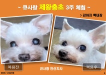 큐사랑 부천한신시장점