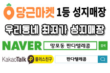 판다텔레콤 망포역점