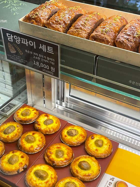 밤마을 사진