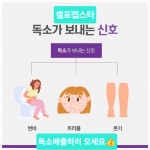 셀포랩 스타