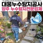 누수탐지