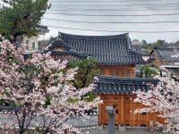 경주황리단길숙소 독채 한옥스테이 소화