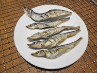 펫소울메이트