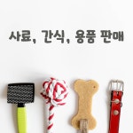 출근길 강아지 유치원 호텔