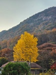 금수산가든민박