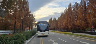 에이스관광여행사