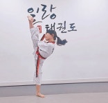 일랑태권도