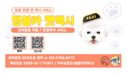 댕봉카펫택시