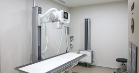 성모본정형외과의원